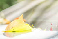 奇迹与奋斗 奇迹与奋斗