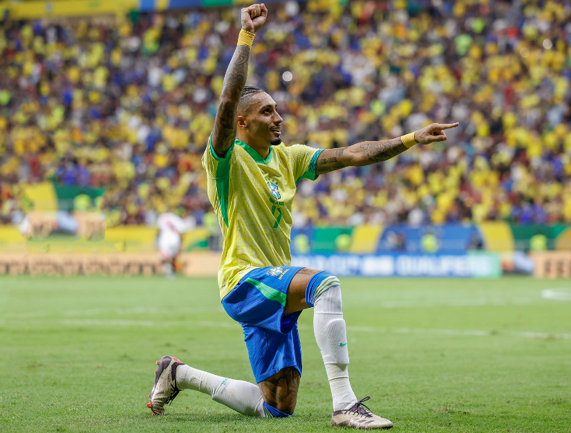 细的回顾分 细的回顾分